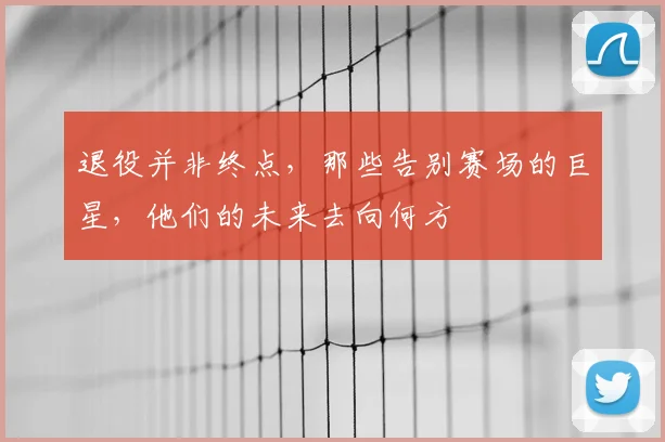 退役并非终点,那些告别赛场的巨星,他们的未来去向何方